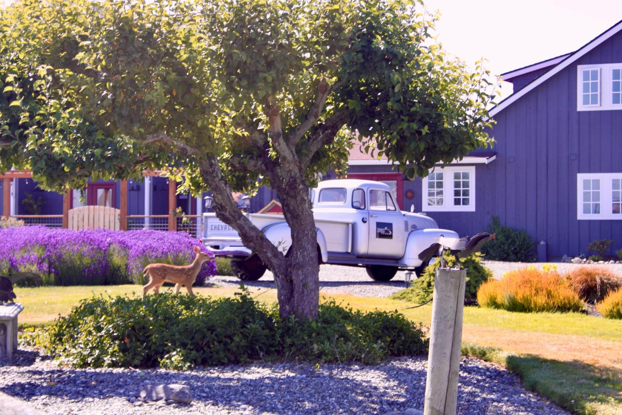 Dungeness Barn House Bed And Breakfast At Two Crows Farm Sequim Εξωτερικό φωτογραφία