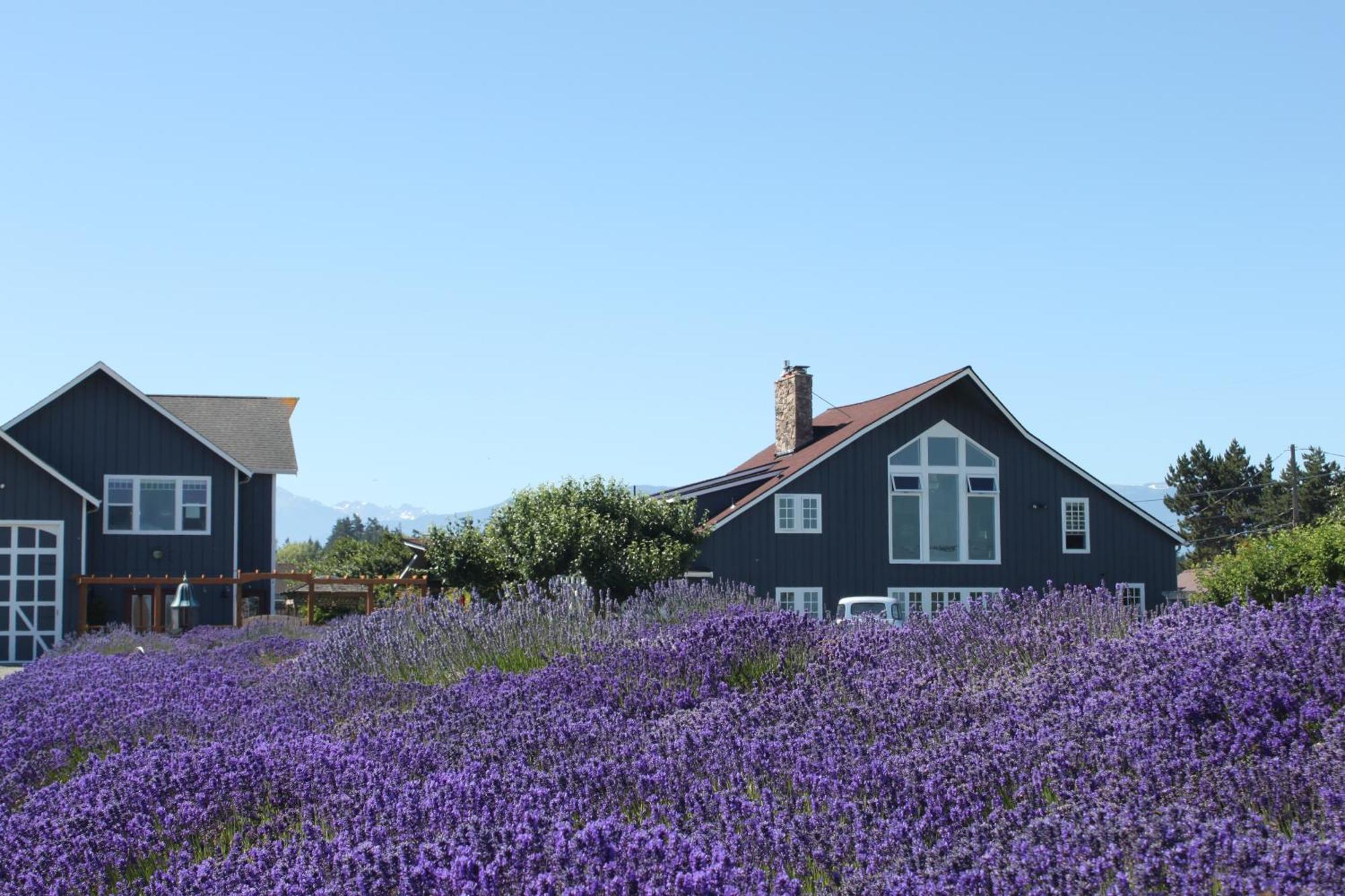 Dungeness Barn House Bed And Breakfast At Two Crows Farm Sequim Εξωτερικό φωτογραφία