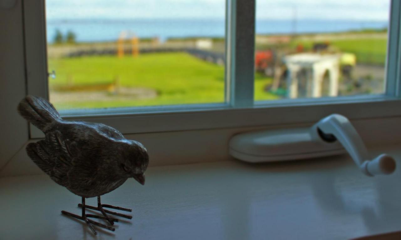 Dungeness Barn House Bed And Breakfast At Two Crows Farm Sequim Εξωτερικό φωτογραφία